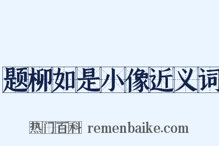 题柳如是小像近义词是什么意思的图片